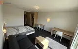 Miniature 7