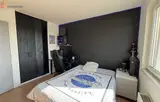 Miniature 4
