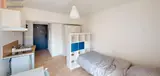 Miniature 3