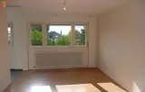 Miniature 0