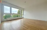 Miniature 0