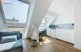 Miniature 8
