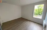 Miniature 5