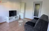 Miniature 4