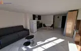 Miniature 4