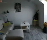 Miniature 0