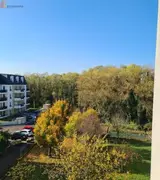Miniature 17