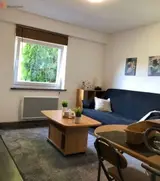 Miniature 0