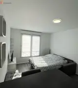 Miniature 26