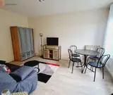 Miniature 8