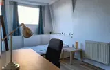Miniature 7