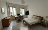 Miniature 7