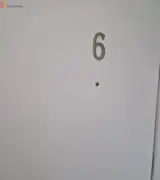 Miniature 4