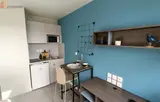 Miniature 4