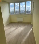 Miniature 3