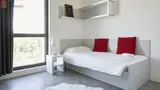 Miniature 4