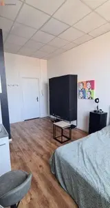 Miniature 7