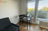 Miniature 22