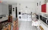 Miniature 4