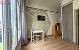 Miniature 9