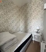 Miniature 3