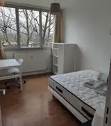 Miniature 5