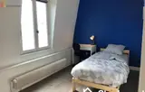 Miniature 4