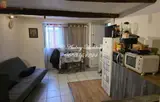 Miniature 3