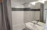 Miniature 10