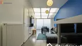 Miniature 3