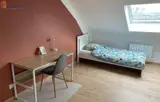 Miniature 5