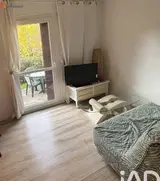 Miniature 4