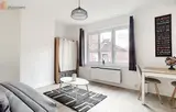 Miniature 6