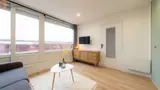 Miniature 12