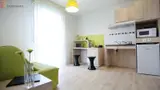 Miniature 4