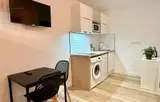 Miniature 4