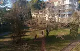 Miniature 4