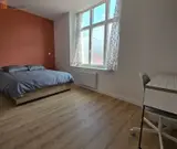 Miniature 8