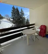 Miniature 4