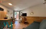 Miniature 7