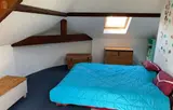 Miniature 5