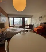 Miniature 8