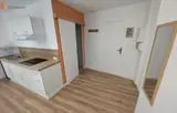 Miniature 4