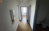 Miniature 8