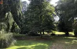 Miniature 4