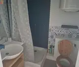 Miniature 3