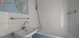 Miniature 3