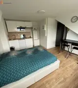 Miniature 0