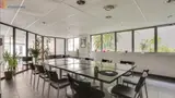 Miniature 11