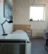 Miniature 3